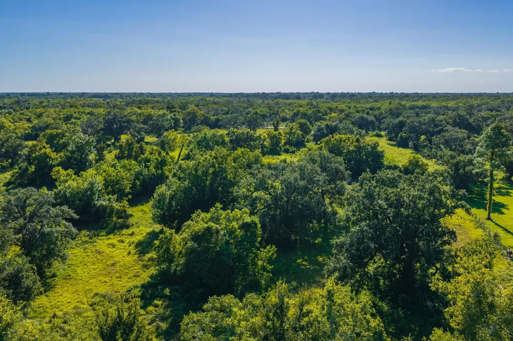 19329 Cr 319 Brazoria, TX 77422