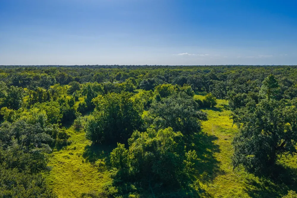 19329 Cr 319 Brazoria, TX 77422