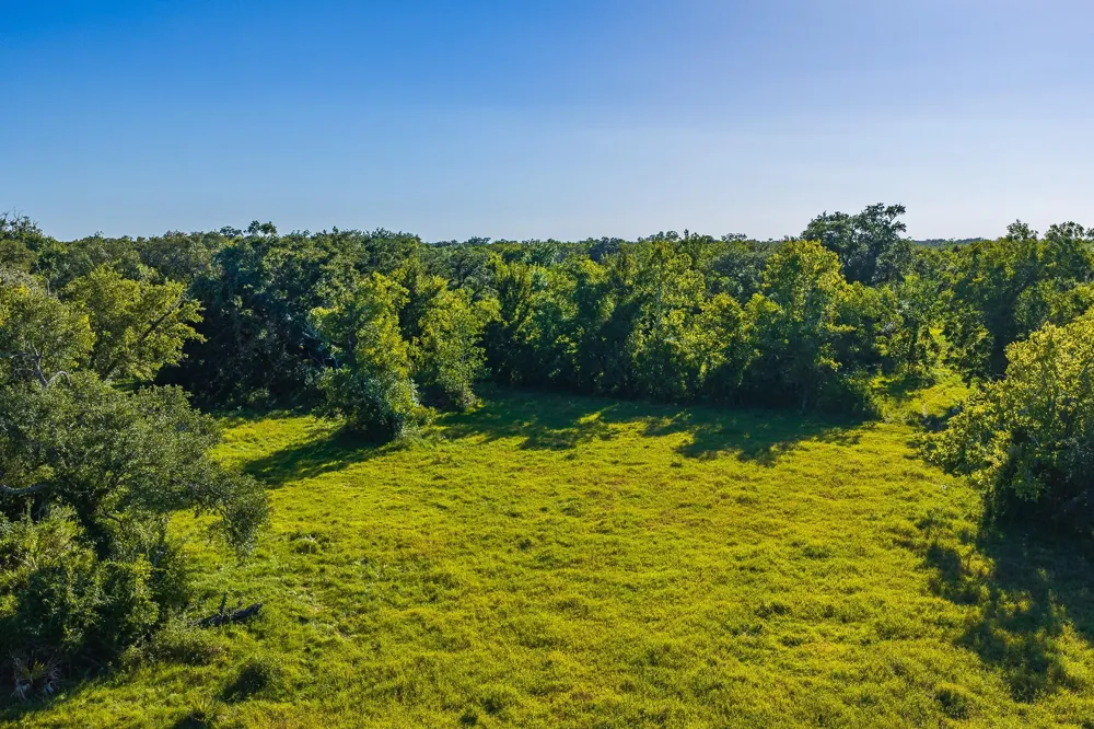 19329 Cr 319 Brazoria, TX 77422