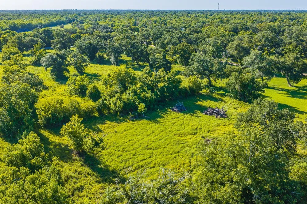 19329 Cr 319 Brazoria, TX 77422