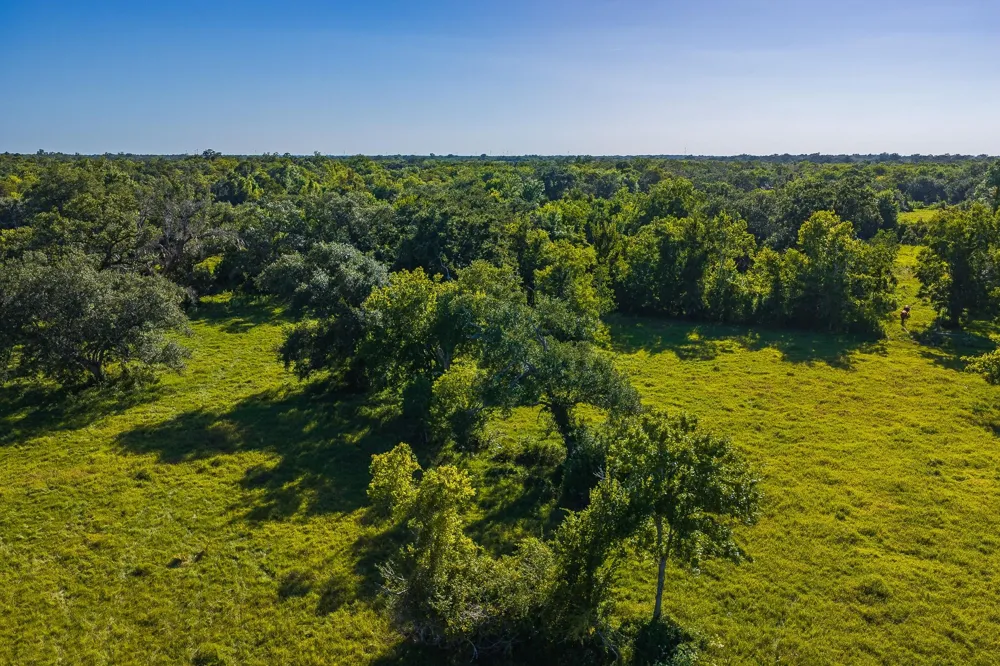 19329 Cr 319 Brazoria, TX 77422