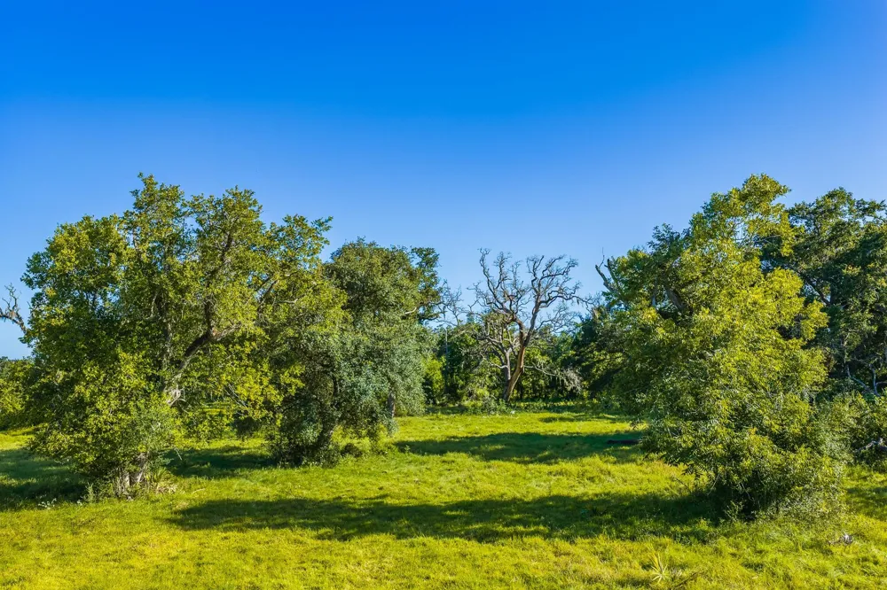 19329 Cr 319 Brazoria, TX 77422