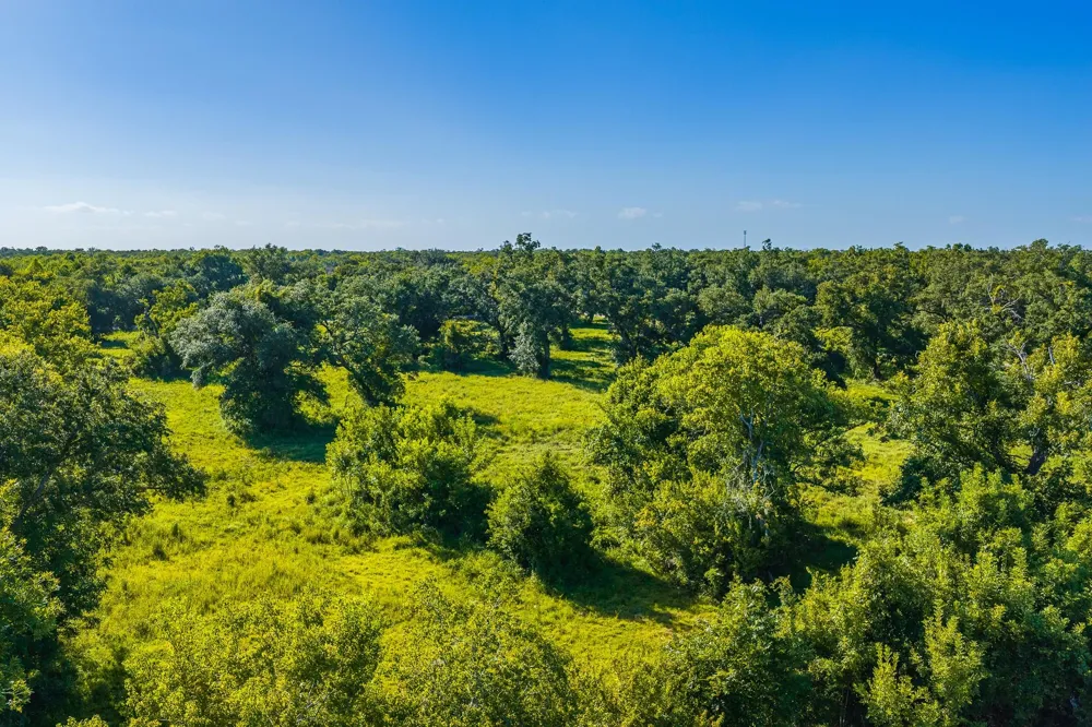 19329 Cr 319 Brazoria, TX 77422