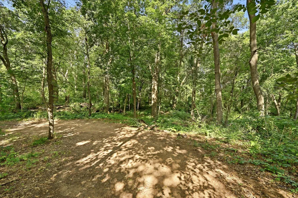 27354 107th Street NW Zimmerman, MN 55398