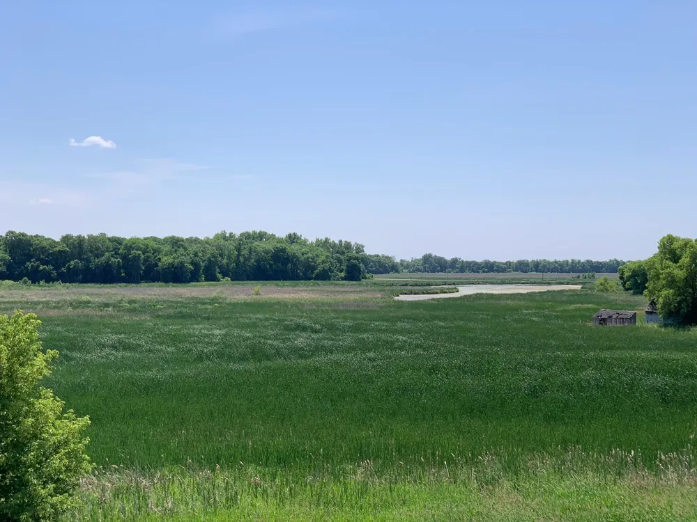 13678 Ringneck Way Rogers, MN 55374