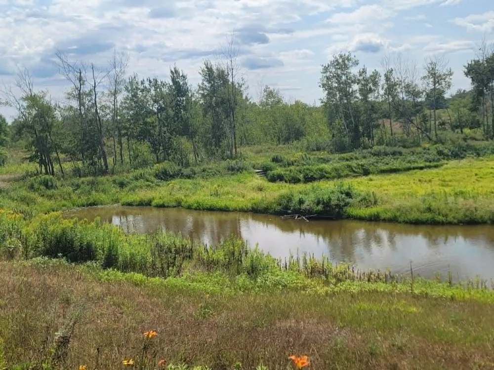 40306 Torchlight Road Isle, MN 56342