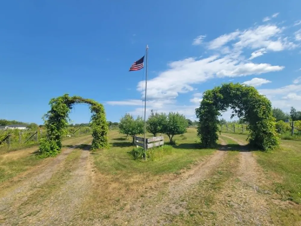 40306 Torchlight Road Isle, MN 56342