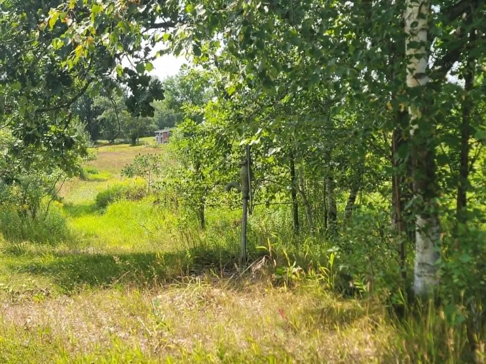 40306 Torchlight Road Isle, MN 56342