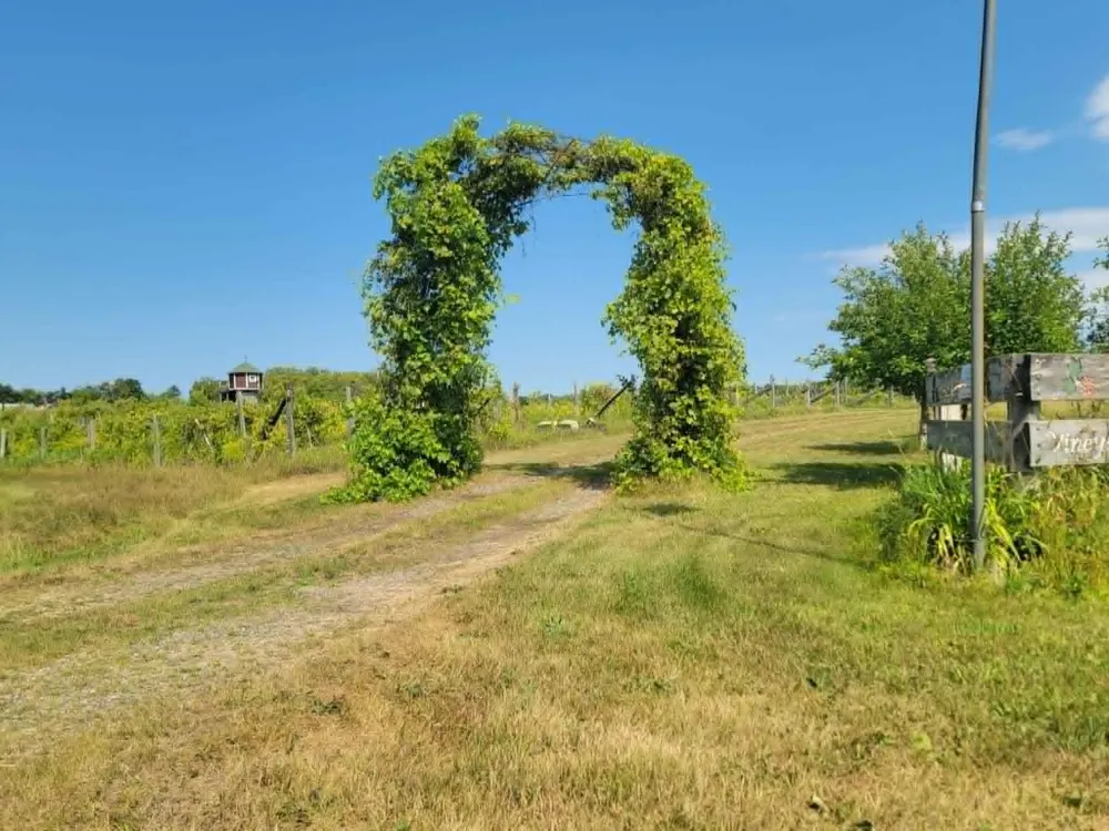 40306 Torchlight Road Isle, MN 56342