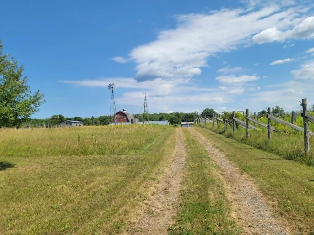 40306 Torchlight Road Isle, MN 56342