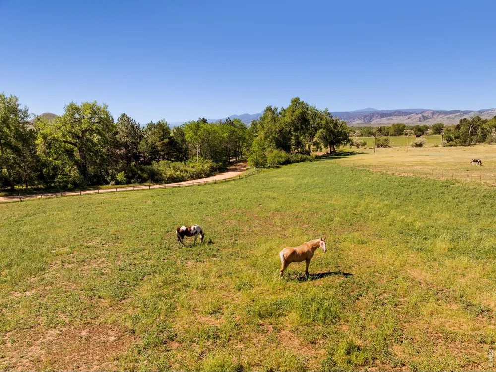 8331 Ouray Drive Longmont, CO 80503