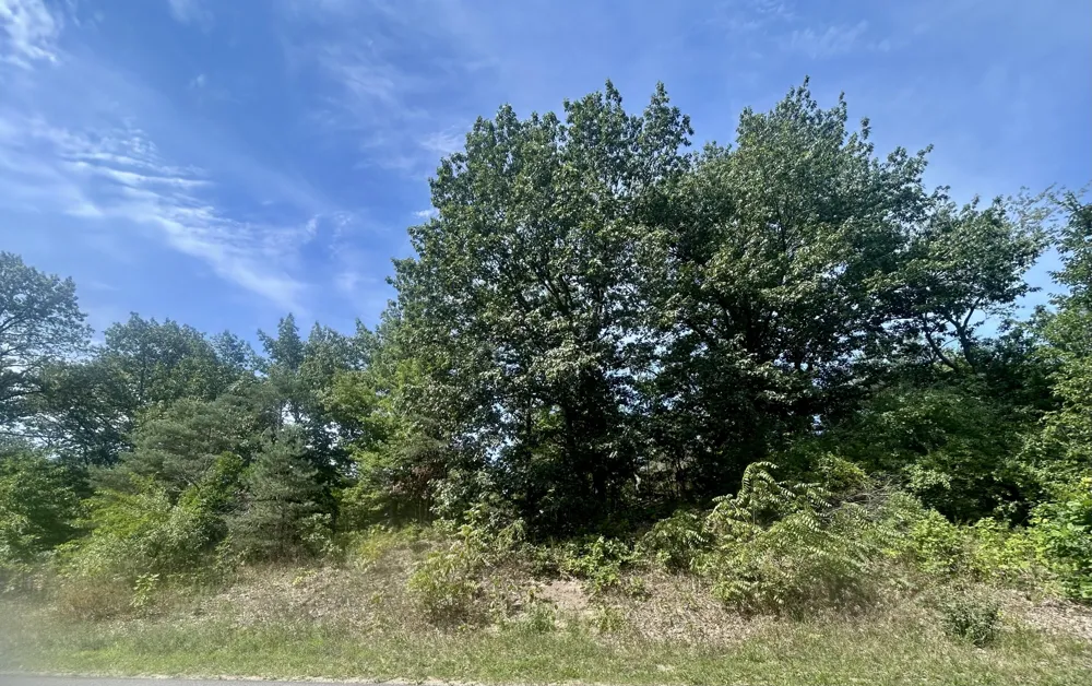 148th Avenue Holland, MI 49424