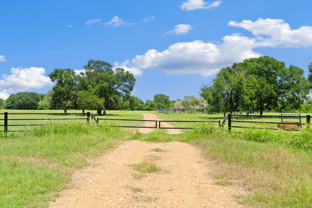 11 St Delight Road Paige, TX 78659