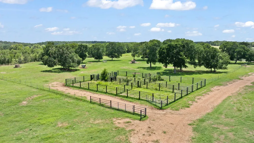 11 St Delight Road Paige, TX 78659