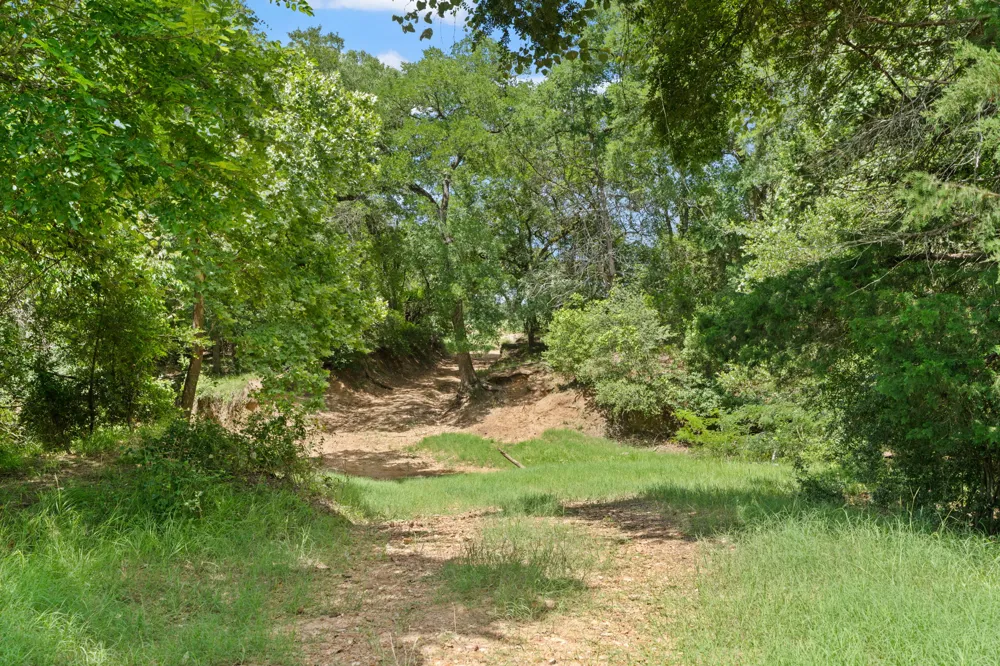 11 St Delight Road Paige, TX 78659