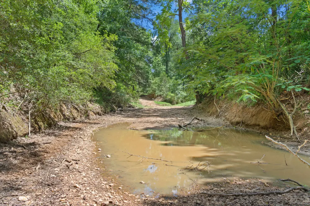 11 St Delight Road Paige, TX 78659