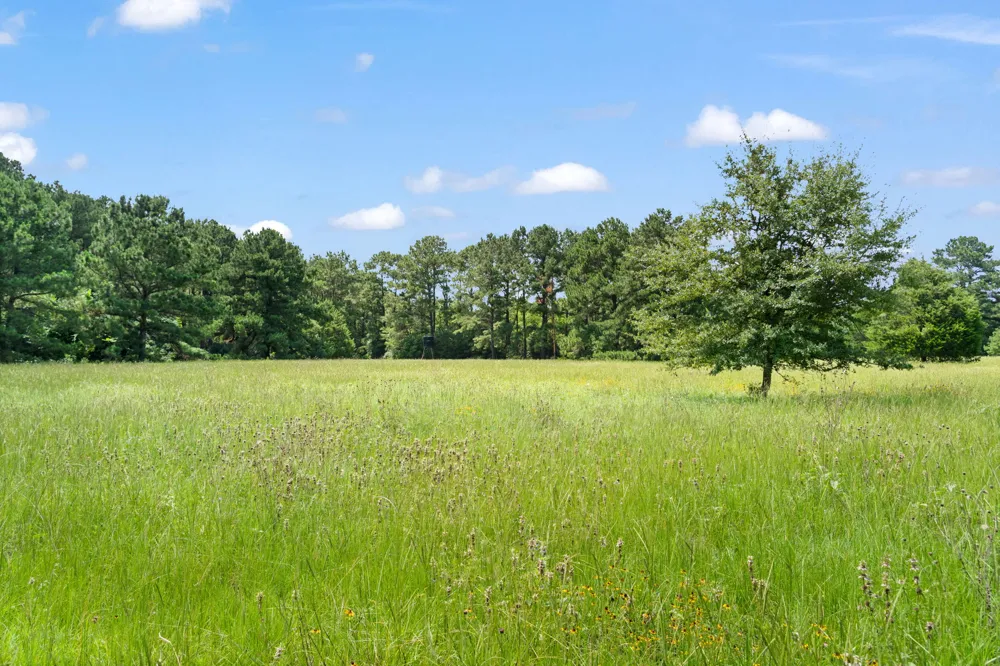 11 St Delight Road Paige, TX 78659