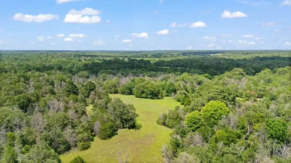 11 St Delight Road Paige, TX 78659
