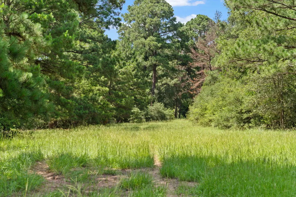 11 St Delight Road Paige, TX 78659