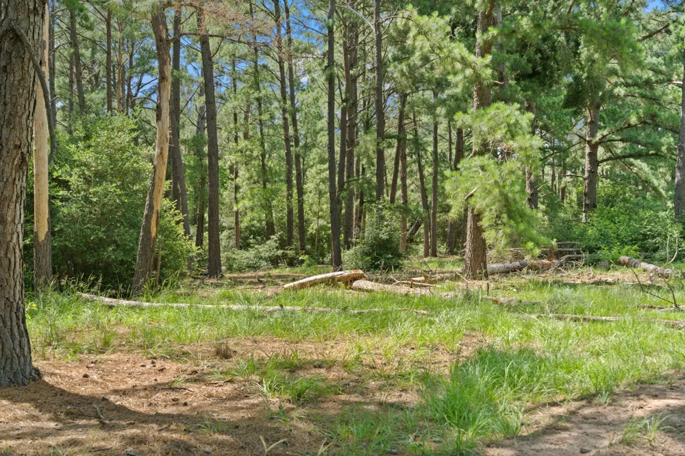 11 St Delight Road Paige, TX 78659