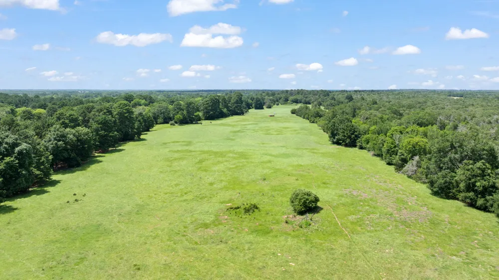 11 St Delight Road Paige, TX 78659