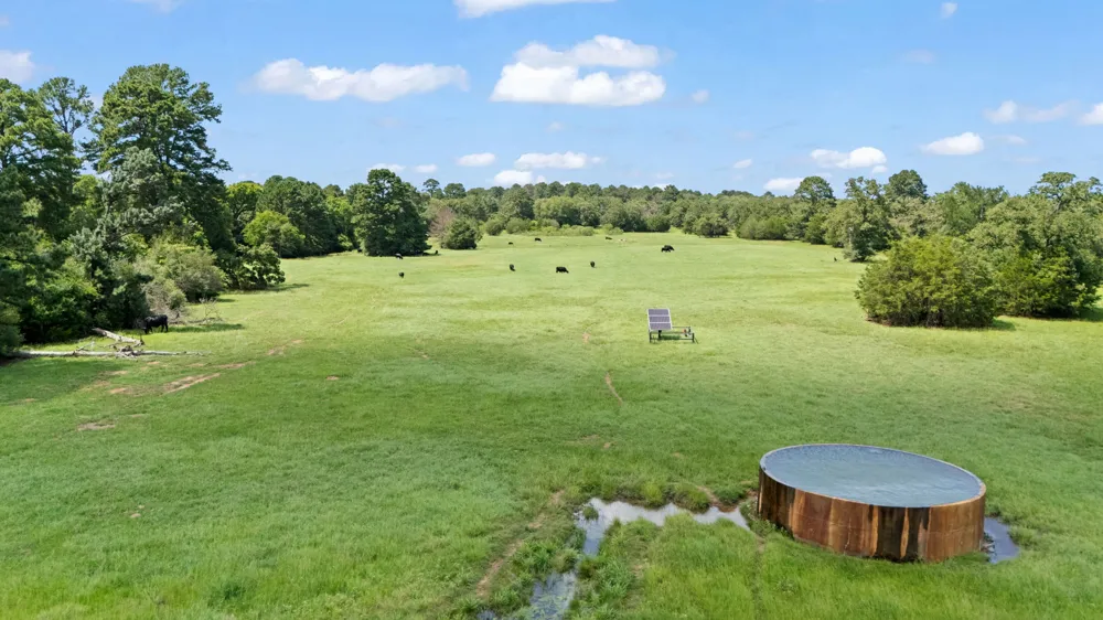 11 St Delight Road Paige, TX 78659