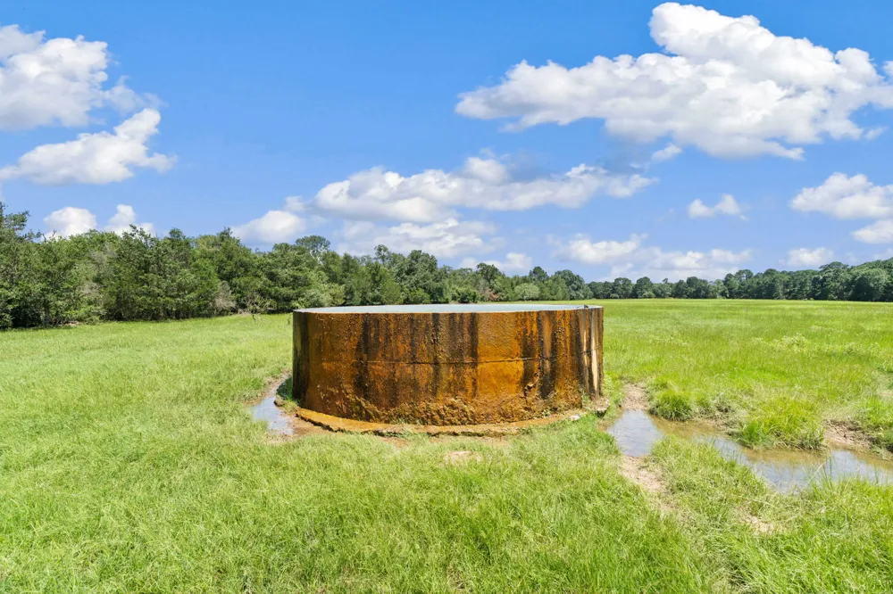 11 St Delight Road Paige, TX 78659