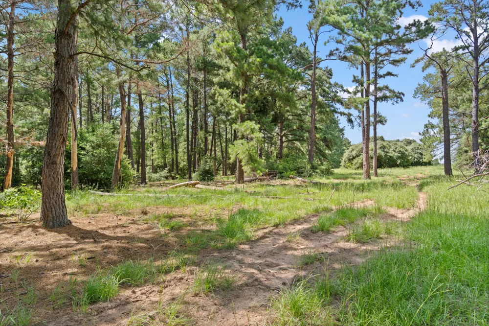 11 St Delight Road Paige, TX 78659