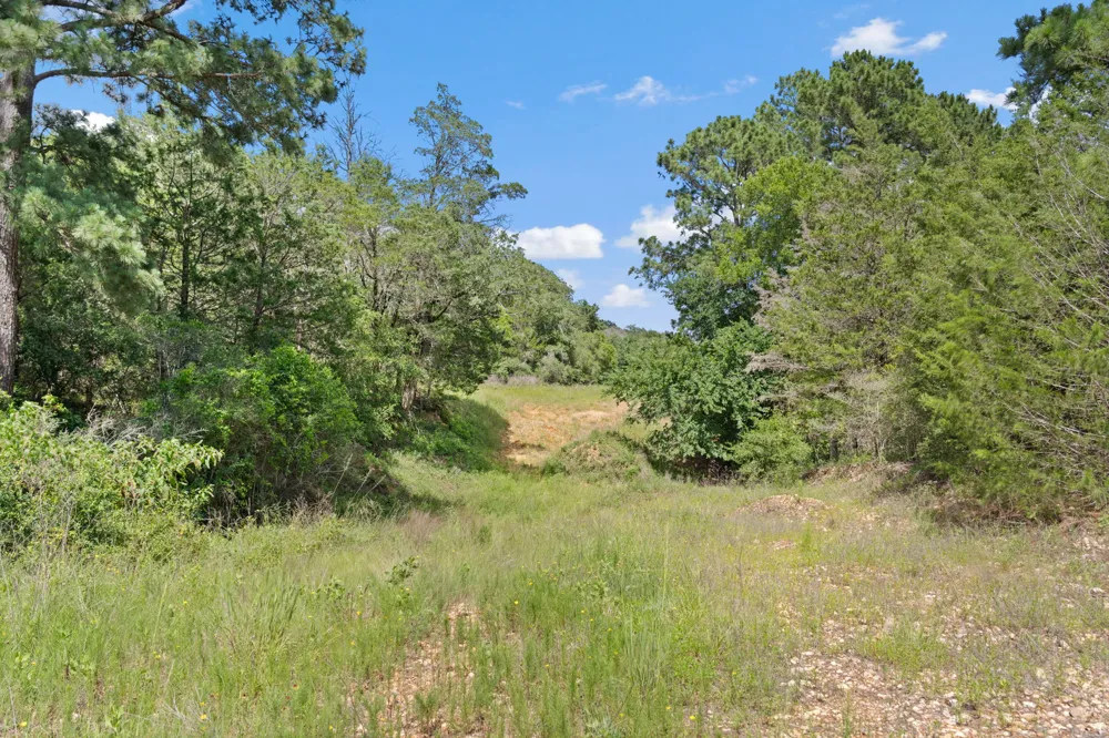 11 St Delight Road Paige, TX 78659