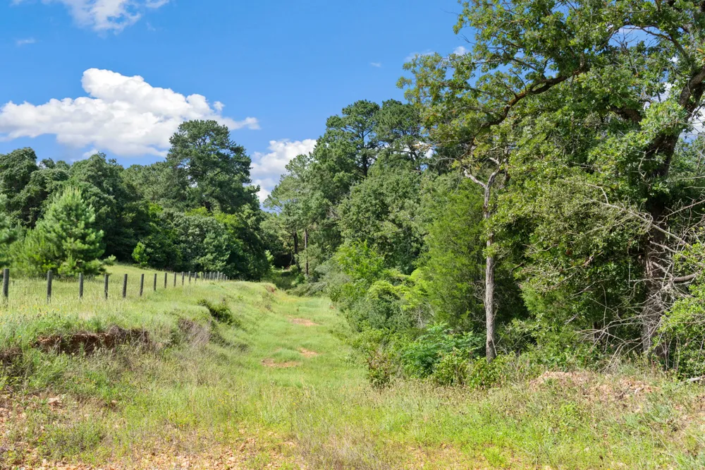 11 St Delight Road Paige, TX 78659