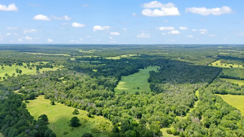 11 St Delight Road Paige, TX 78659