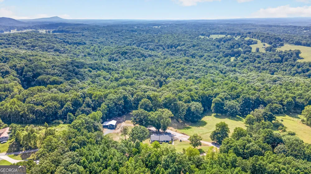 7375 BEAR MOUNTAIN RD Dawsonville, GA 30534