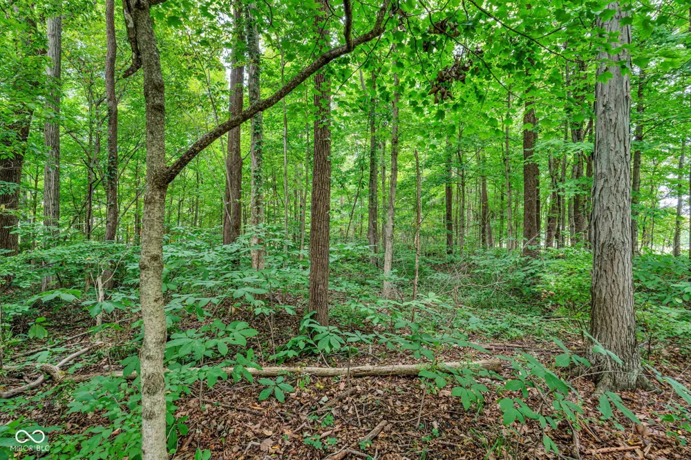 4202 Whitetail Woods Drive Bargersville, IN 46106