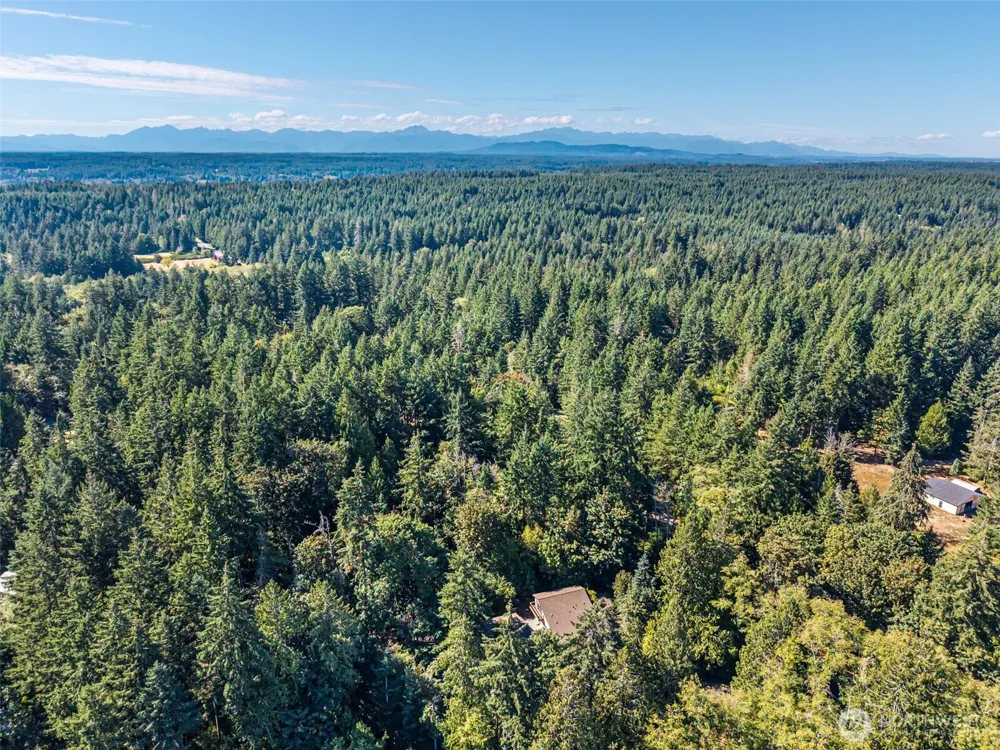 4562 SE Burley Olalla Road Olalla, WA 98359