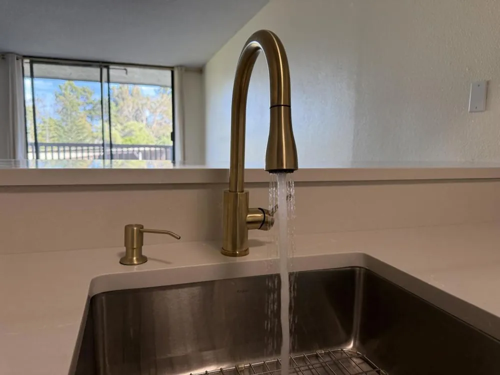 4333 Shelter Creek San Bruno, CA 94066