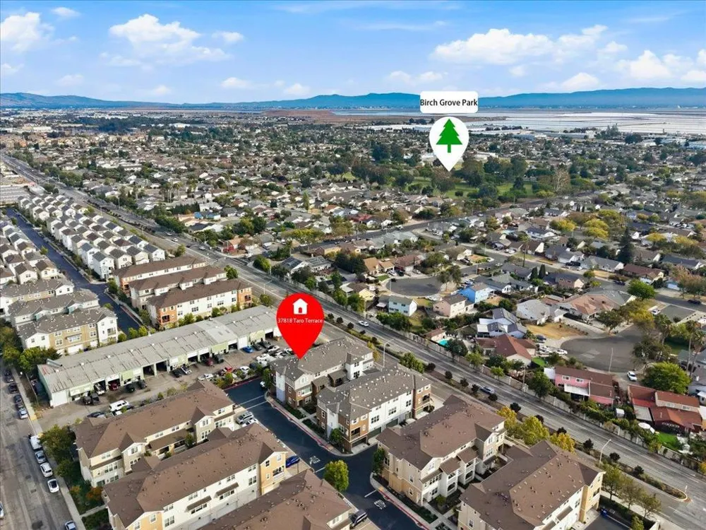37818 Taro Terrace Newark, CA 94560