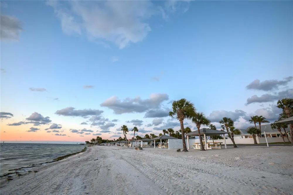 5111 AMULET DRIVE #102 New Port Richey, FL 34652