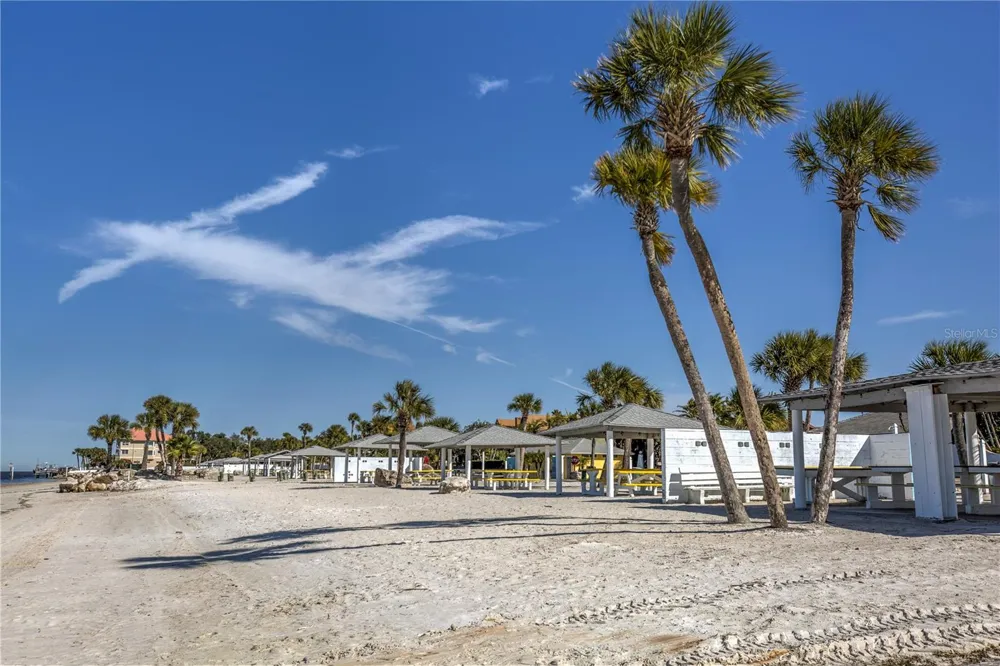 5111 AMULET DRIVE #102 New Port Richey, FL 34652