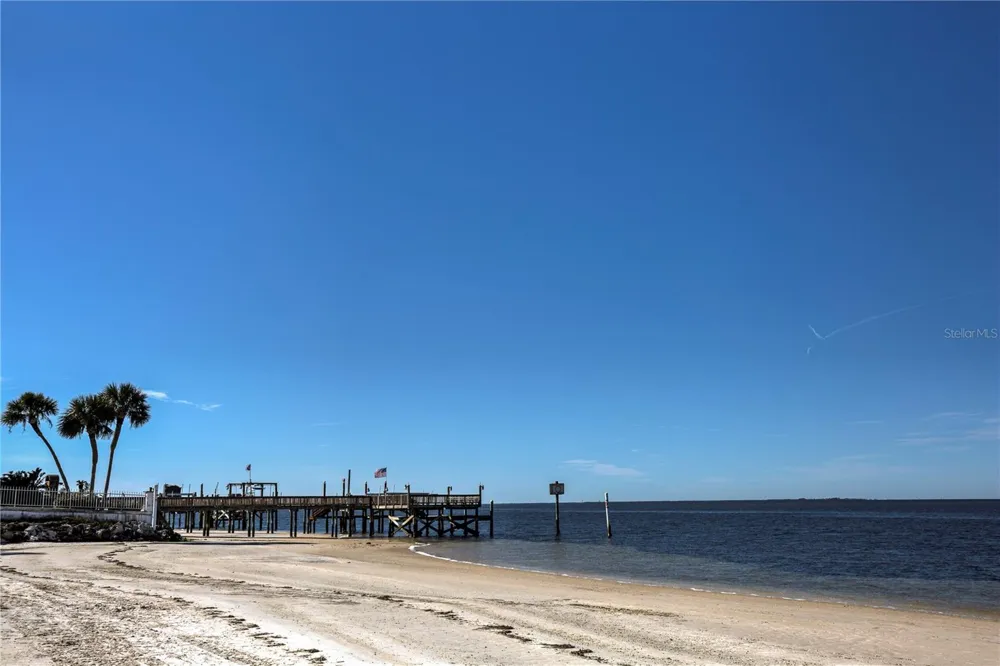 5111 AMULET DRIVE #102 New Port Richey, FL 34652