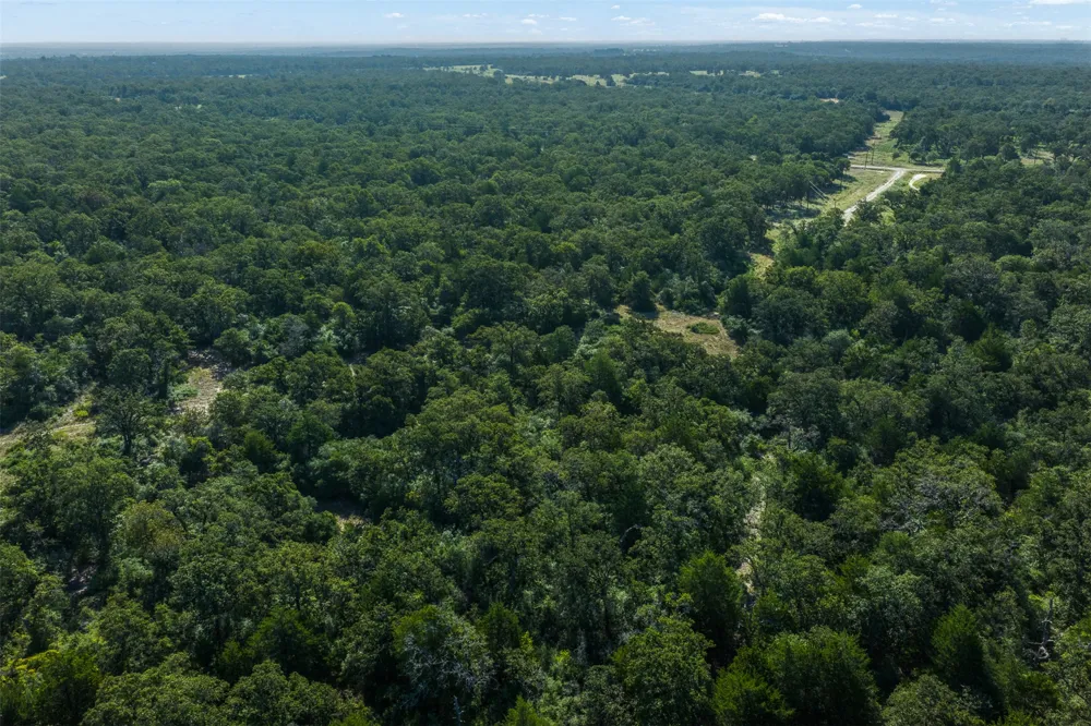 180 Autumn Oak Court Caldwell, TX 77836