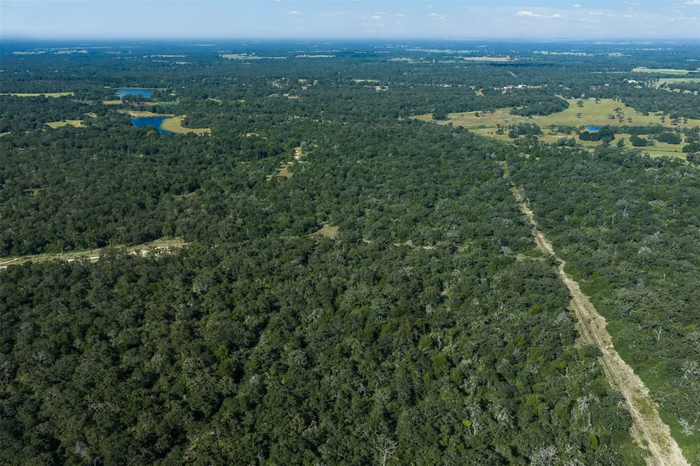 180 Autumn Oak Court Caldwell, TX 77836