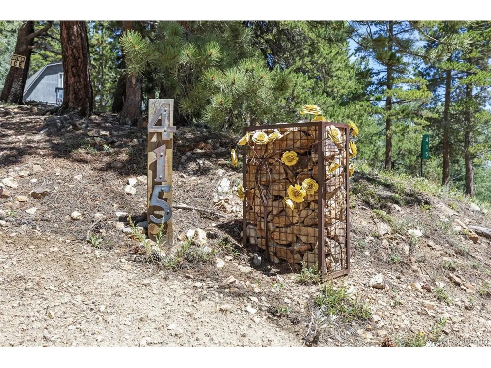 415 Upper Travis Gulch Road Black Hawk, CO 80422