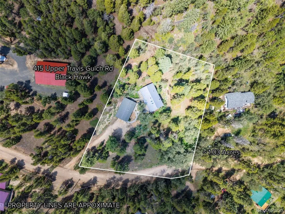 415 Upper Travis Gulch Road Black Hawk, CO 80422