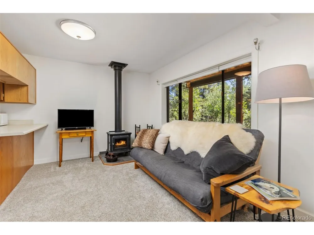 415 Upper Travis Gulch Road Black Hawk, CO 80422