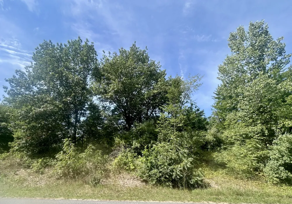 148th Avenue Holland, MI 49424