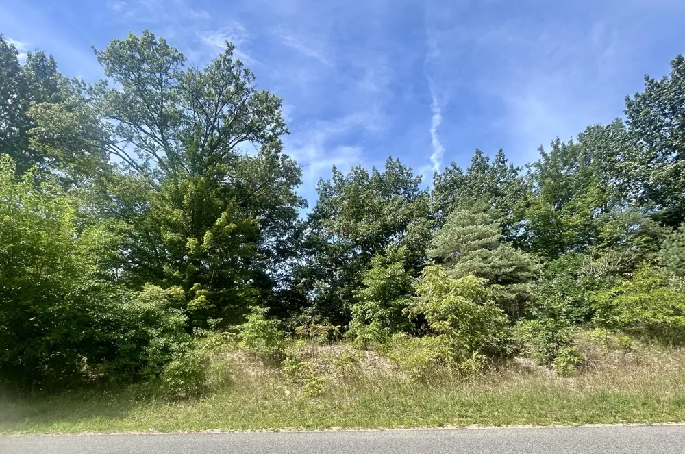 148th Avenue Holland, MI 49424