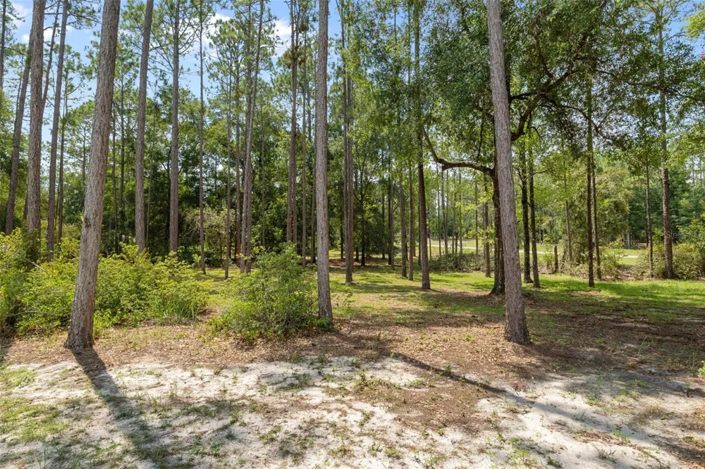 21747 SW 82ND LOOP Dunnellon, FL 34431