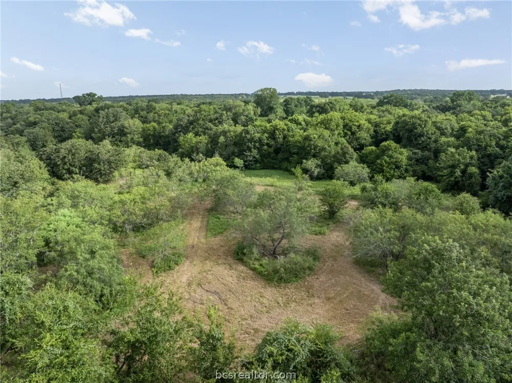 8914 Gilpin Lane Iola, TX 77861