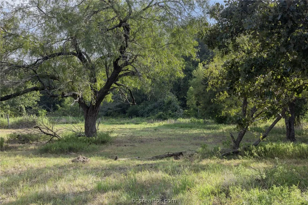 8914 Gilpin Lane Iola, TX 77861