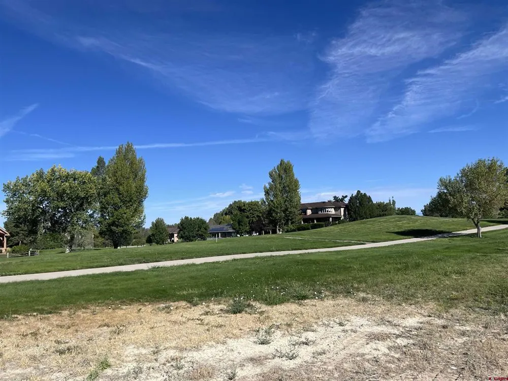 10 Chestnut Dr Montrose, CO 81401